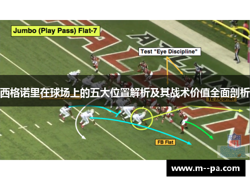 西格诺里在球场上的五大位置解析及其战术价值全面剖析