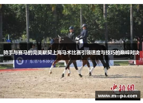 骑手与赛马的完美默契上海马术比赛引领速度与技巧的巅峰对决 骑手与赛马的完美默契上海马术比赛引领速度与技巧的巅峰对决