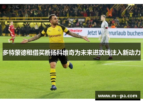 多特蒙德租借买断扬科维奇为未来进攻线注入新动力