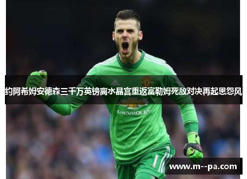 约阿希姆安德森三千万英镑离水晶宫重返富勒姆死敌对决再起恩怨风