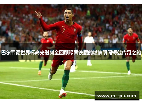 巴尔韦德世界杯高光时刻全回顾绿茵铁腰的燃情瞬间铸就传奇之路 巴尔韦德世界杯高光时刻全回顾绿茵铁腰的燃情瞬间铸就传奇之路