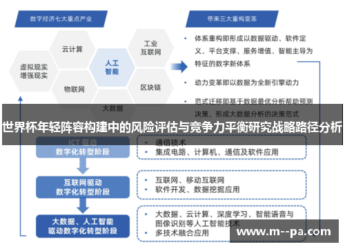 世界杯年轻阵容构建中的风险评估与竞争力平衡研究战略路径分析