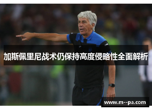 加斯佩里尼战术仍保持高度侵略性全面解析